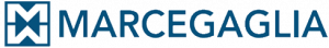 Logo Partner